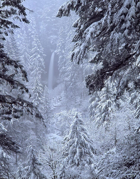 USA, Oregon, Silver Falls State Park. North Falls in winter snow. Credit as: Steve