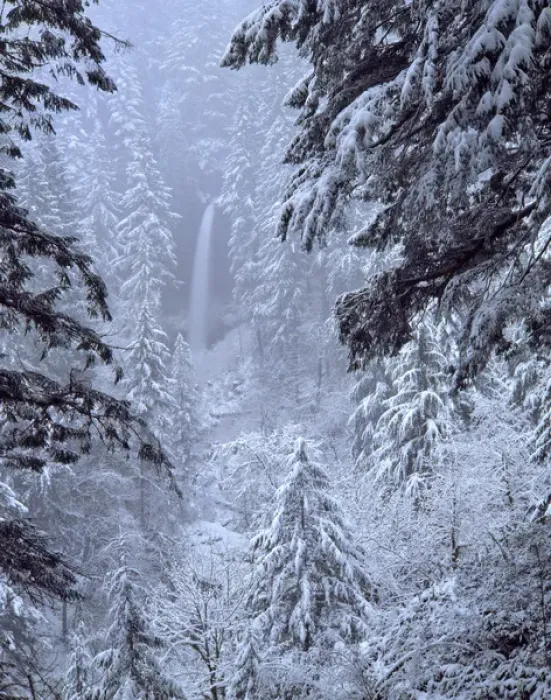 Framed Print : USA, Oregon, Silver Falls State Park. North Falls in winter snow. Credit as: Steve