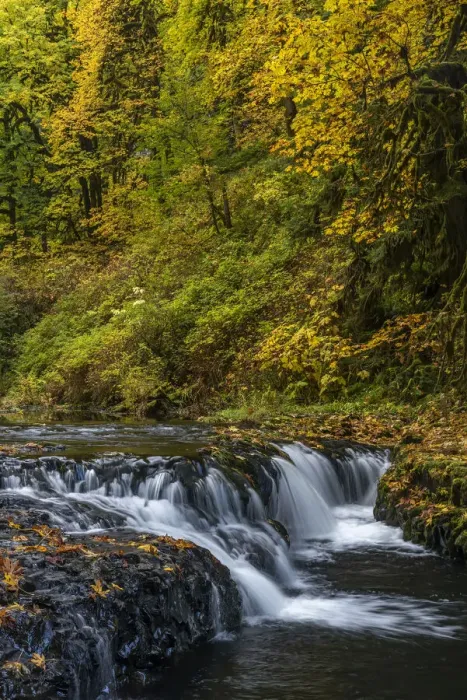 Framed Print : USA, Oregon, Silver Falls State Park. Waterfalls and forest in autumn Framed Print : USA, Oregon, Silver Falls State Park. Waterfalls and forest in autumn