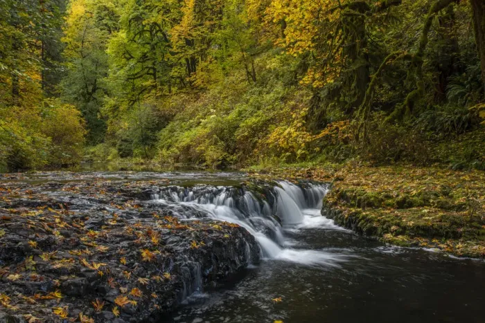 Framed Print : USA, Oregon, Silver Falls State Park. Waterfalls and forest in autumn Framed Print : USA, Oregon, Silver Falls State Park. Waterfalls and forest in autumn