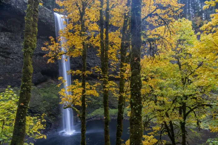 Framed Print : USA, Oregon, Silver Falls State Park. Tall waterfall and forest in autumn Framed Print : USA, Oregon, Silver Falls State Park. Tall waterfall and forest in autumn