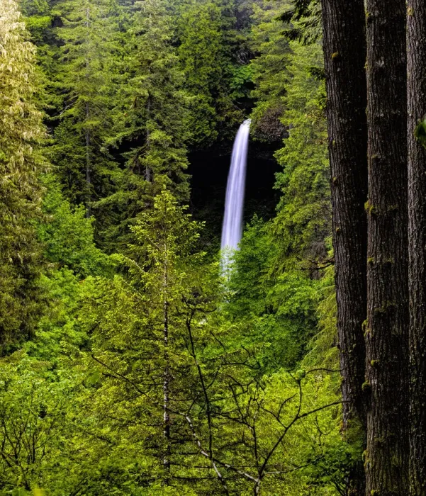 Framed Print : USA, Oregon, Silver Falls State Park, North Falls Framed Print : USA, Oregon, Silver Falls State Park, North Falls