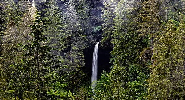 USA, Oregon, Silver Falls State Park, North Falls