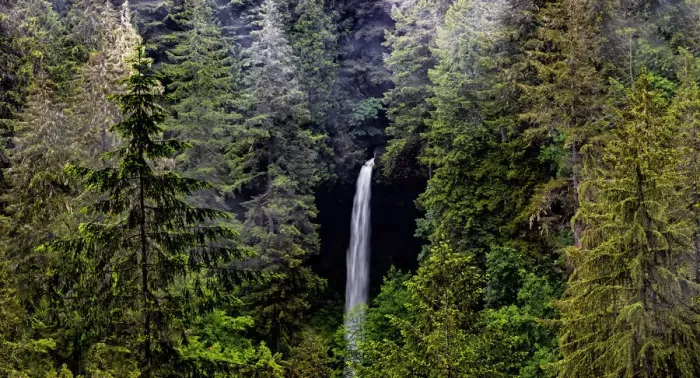 Framed Print : USA, Oregon, Silver Falls State Park, North Falls Framed Print : USA, Oregon, Silver Falls State Park, North Falls