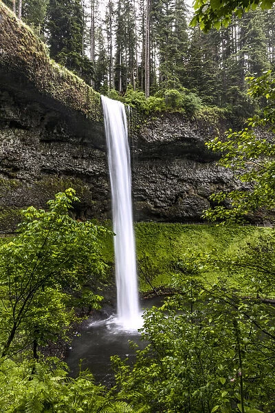 USA, Oregon, Silver Falls State Park, South Falls