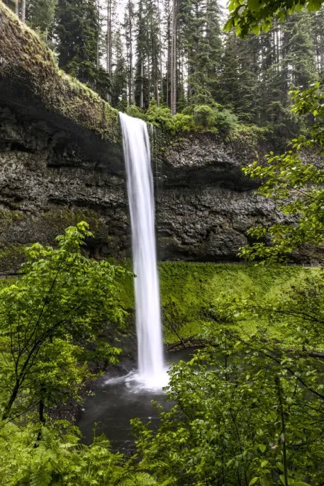 Framed Print : USA, Oregon, Silver Falls State Park, South Falls Framed Print : USA, Oregon, Silver Falls State Park, South Falls