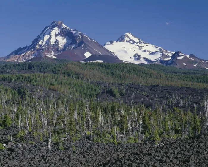 Framed Print : USA, Oregon. Three Sisters Wilderness, North (left) and Middle Sister (right) rise beyond conifers Framed Print : USA, Oregon. Three Sisters Wilderness, North (left) and Middle Sister (right) rise beyond conifers