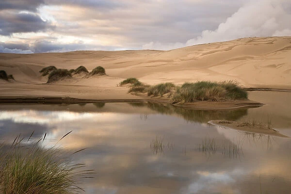 USA, Oregon, Siuslaw National Forest, Umpqua Dunes. Contrast of a lake next to sand dunes