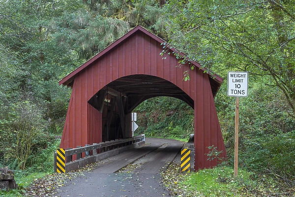 USA, Oregon, Siuslaw National Forest, North Fork Yachats Bridge, built in 1938, spans