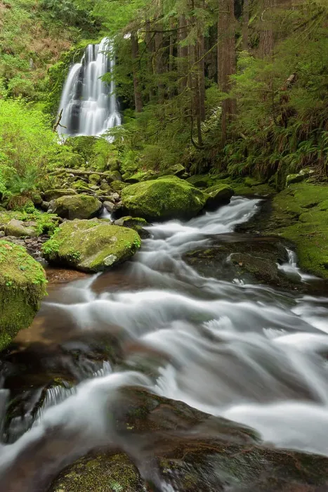 Framed Print : USA, Oregon, Siuslaw National Forest. Upper Kentucky Falls Framed Print : USA, Oregon, Siuslaw National Forest. Upper Kentucky Falls