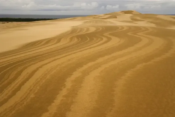 Framed Print : USA, Oregon, Siuslaw National Forest, Umpqua Dunes. Wavy patterns in sand dunes