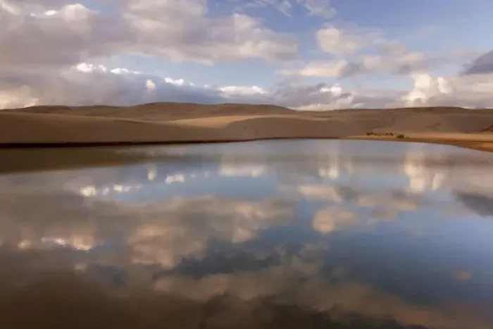 Framed Print : USA, Oregon, Siuslaw National Forest, Umpqua Dunes. Contrast of a lake next to sand dunes