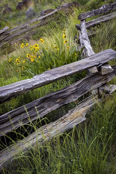 USA, Oregon, Smith Rock State Park. Split rail fence scenic