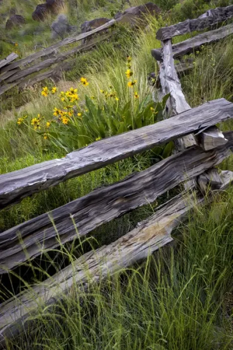 Framed Print : USA, Oregon, Smith Rock State Park. Split rail fence scenic