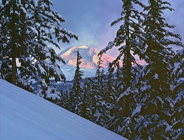 USA, Oregon, South Sister. Winter sunrise light colors the South Sister, Cascades Range, Oregon