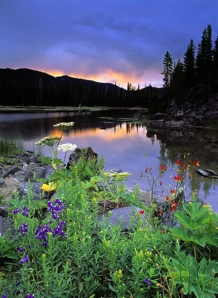 USA, Oregon, Sparks Lake. A cloudy sunrise enhances the colors in these wildflowers at Sparks Lake