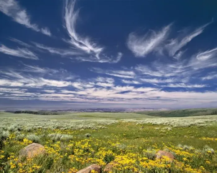 Framed Print : USA, Oregon, Steens Mountain. Spring burgeons beneath a sky rippled by fairy tale clouds Framed Print : USA, Oregon, Steens Mountain. Spring burgeons beneath a sky rippled by fairy tale clouds