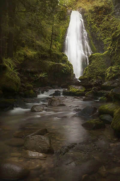 USA, Oregon, Umpqua National Forest. Susan Creek Falls in mossy gorge. Credit as