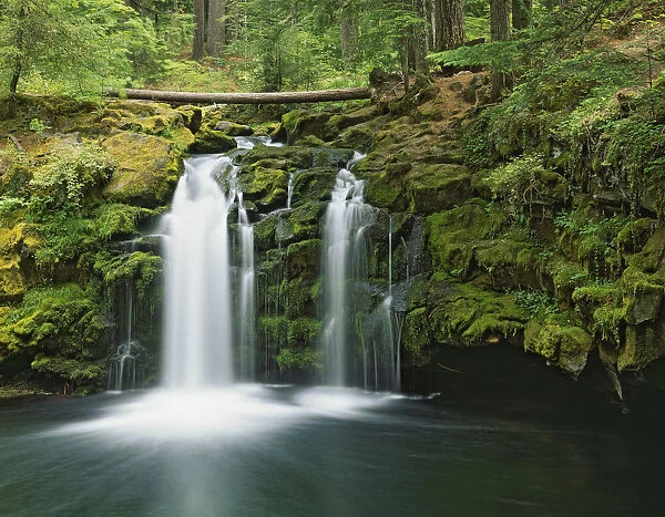 USA, Oregon, Umpqua River. Waterfall scenic
