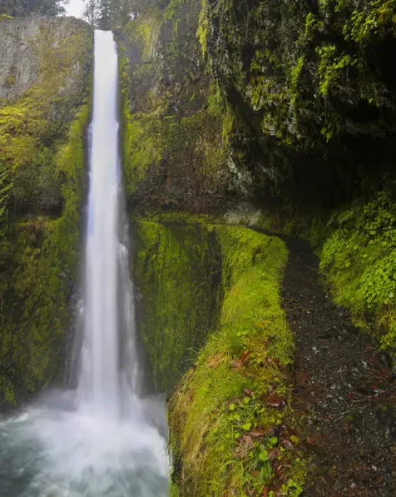 Framed Print : USA, Oregon. Top to bottom view of 130 ft Tunnel Falls on Eagle Creek, with trail
