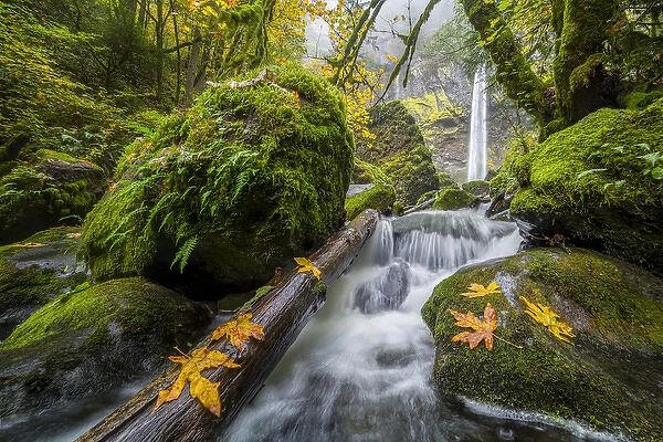 USA, Oregon. View from below Elowah Falls on McCord Creek in autumn in the Columbia Gorge