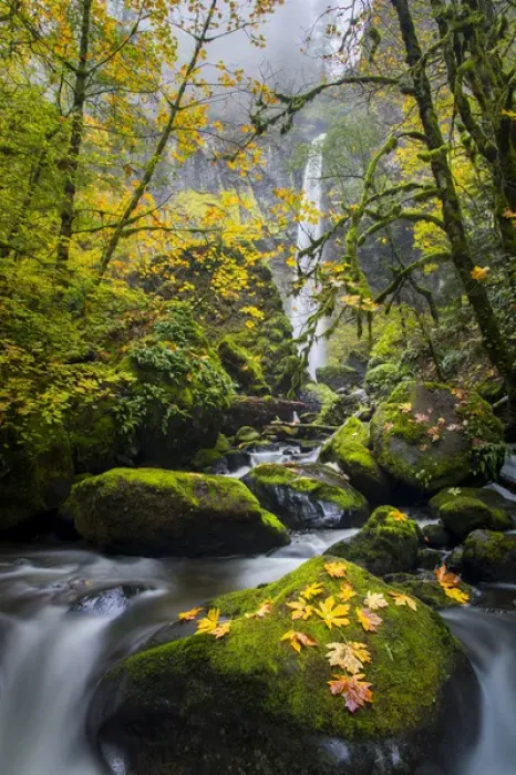 Framed Print : USA, Oregon. View from below Elowah Falls on McCord Creek in autumn in the Columbia Gorge