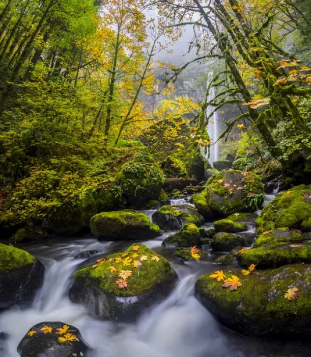 Framed Print : USA, Oregon. View from below Elowah Falls on McCord Creek in autumn in the Columbia Gorge
