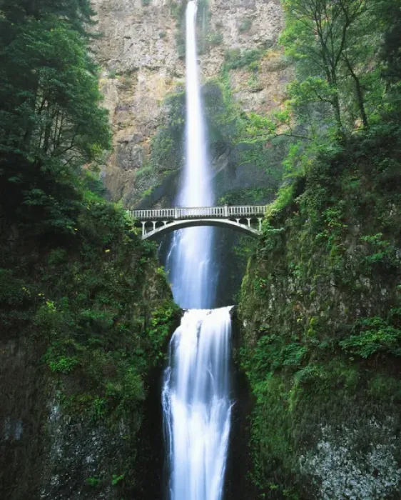 Framed Print : USA, Oregon, View of Multnomah Falls in Columbia Gorge Framed Print : USA, Oregon, View of Multnomah Falls in Columbia Gorge