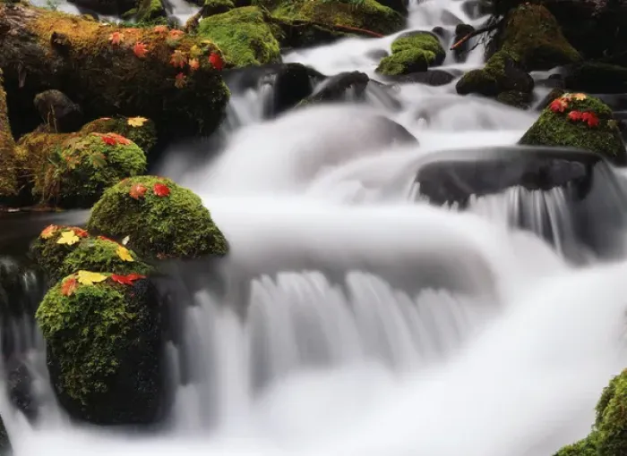 Framed Print : USA, Oregon, View of waterfall with autumn maple leave at Mt hood National forest Framed Print : USA, Oregon, View of waterfall with autumn maple leave at Mt hood National forest
