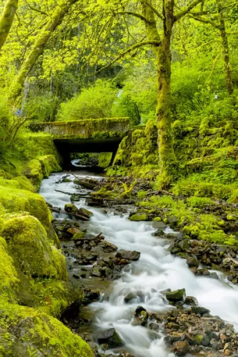 Framed Print : USA, Oregon, Wahkeena Falls. Locatged along I-84, the Columbia River Gorge Scenic Framed Print : USA, Oregon, Wahkeena Falls. Locatged along I-84, the Columbia River Gorge Scenic