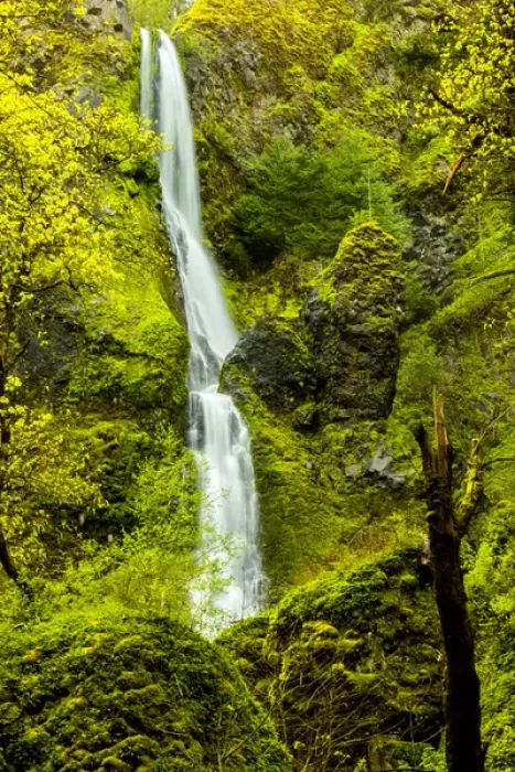 Framed Print : USA, Oregon, Wahkeena Falls. Locatged along I-84, the Columbia River Gorge Scenic Framed Print : USA, Oregon, Wahkeena Falls. Locatged along I-84, the Columbia River Gorge Scenic