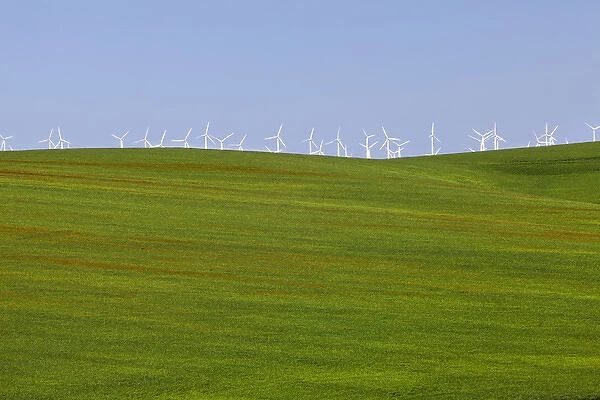 USA, Oregon, Wasco. White wind turbines on verdant farm field