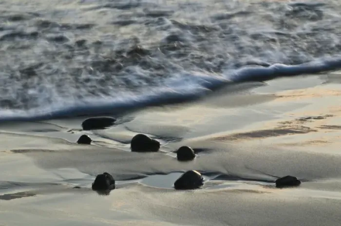 Framed Print : USA, Oregon. Wet beach sand and rocks at sunset on shoreline. Credit as: Nancy Rotenberg Framed Print : USA, Oregon. Wet beach sand and rocks at sunset on shoreline. Credit as: Nancy Rotenberg
