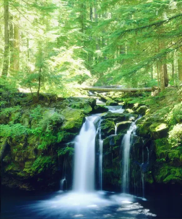 Framed Print : USA, Oregon, Whitehorse Waterfall in Oregon Framed Print : USA, Oregon, Whitehorse Waterfall in Oregon