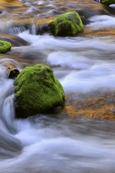 Framed Print : USA, Oregon, Willamette National Forest. McKenzie River flowing over moss-covered rocks Framed Print : USA, Oregon, Willamette National Forest. McKenzie River flowing over moss-covered rocks