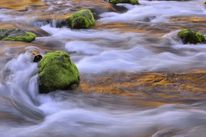 Framed Print : USA, Oregon, Willamette National Forest. McKenzie River flowing over moss-covered rocks Framed Print : USA, Oregon, Willamette National Forest. McKenzie River flowing over moss-covered rocks