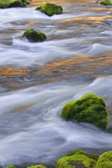 Framed Print : USA, Oregon, Willamette National Forest. McKenzie River flowing over moss-covered rocks Framed Print : USA, Oregon, Willamette National Forest. McKenzie River flowing over moss-covered rocks