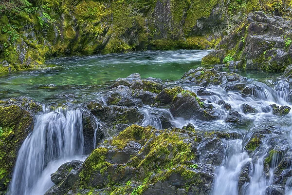 USA, Oregon, Willamette National Forest, Opal Creek Scenic Recreation Area, Multiple small falls