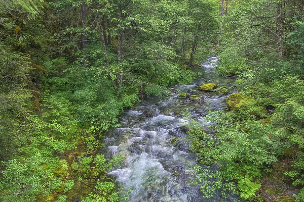USA, Oregon, Willamette National Forest, Opal Creek Scenic Recreation Area, Battle