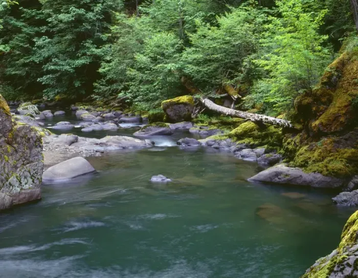 Framed Print : USA, Oregon, Willamette National Forest, Middle Santiam Wilderness, Deep, green pool Framed Print : USA, Oregon, Willamette National Forest, Middle Santiam Wilderness, Deep, green pool