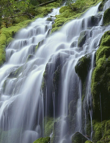 USA, Oregon, Willamette National Forest, Three Sisters Wilderness, Upper Proxy Falls