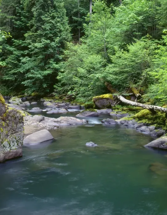 Framed Print : USA, Oregon, Willamette National Forest, Middle Santiam Wilderness, Deep, green pool Framed Print : USA, Oregon, Willamette National Forest, Middle Santiam Wilderness, Deep, green pool