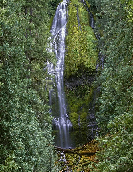 USA, Oregon, Willamette National Forest, Three Sisters Wilderness, Lower Proxy Falls