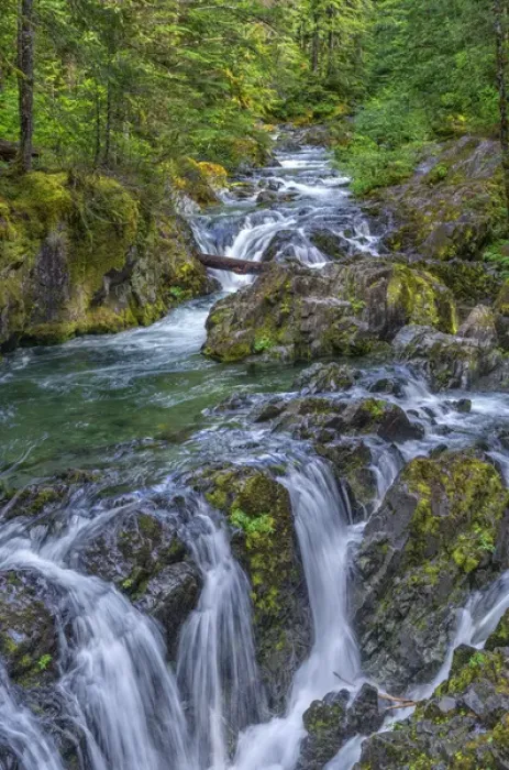 Framed Print : USA, Oregon, Willamette National Forest, Opal Creek Scenic Recreation Area, Multiple small falls Framed Print : USA, Oregon, Willamette National Forest, Opal Creek Scenic Recreation Area, Multiple small falls