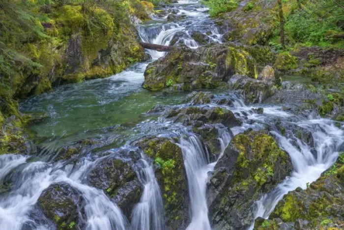 Framed Print : USA, Oregon, Willamette National Forest, Opal Creek Scenic Recreation Area, Multiple small falls Framed Print : USA, Oregon, Willamette National Forest, Opal Creek Scenic Recreation Area, Multiple small falls