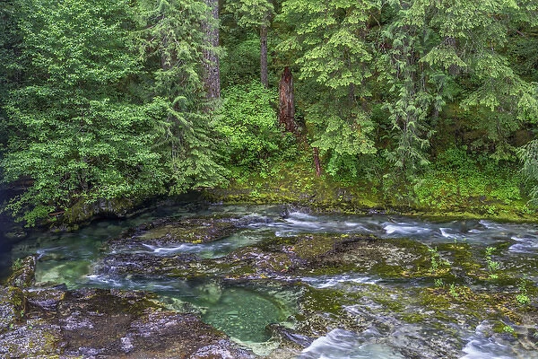 USA, Oregon, Willamette National Forest, Opal Creek Scenic Recreation Area, Little
