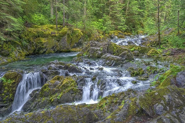 USA, Oregon, Willamette National Forest, Opal Creek Scenic Recreation Area, Multiple small falls