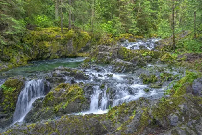 Framed Print : USA, Oregon, Willamette National Forest, Opal Creek Scenic Recreation Area, Multiple small falls Framed Print : USA, Oregon, Willamette National Forest, Opal Creek Scenic Recreation Area, Multiple small falls
