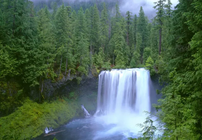 Framed Print : USA, Oregon, Willamette National Forest. McKenzie River plummets over Koosah Falls in spring Framed Print : USA, Oregon, Willamette National Forest. McKenzie River plummets over Koosah Falls in spring