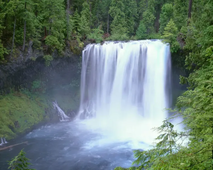 Framed Print : USA, Oregon. Willamette National Forest, McKenzie River plummets over Koosah Falls in spring